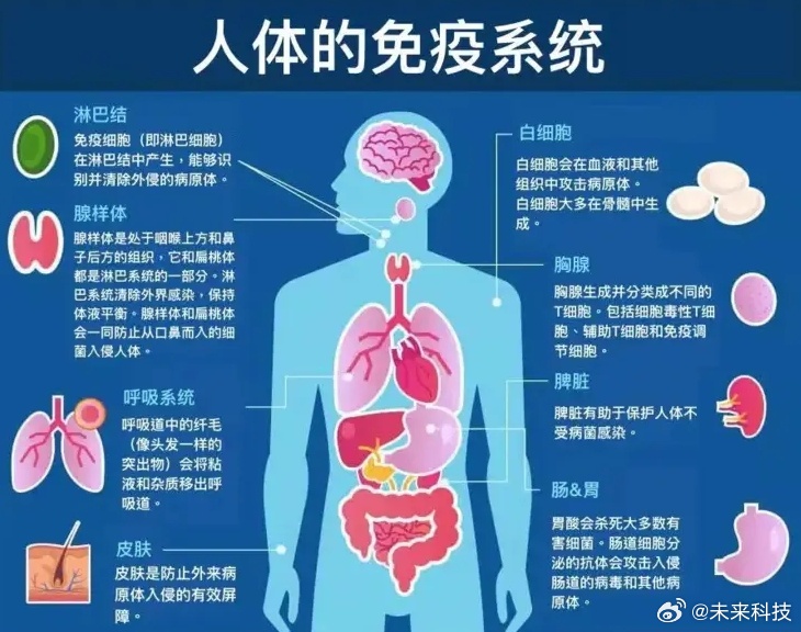 第1765页