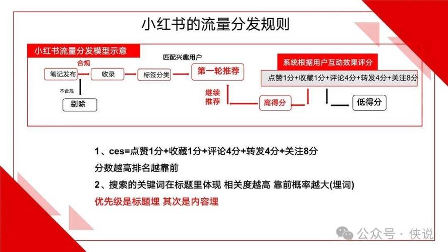 小红书养号与变现技巧全攻略