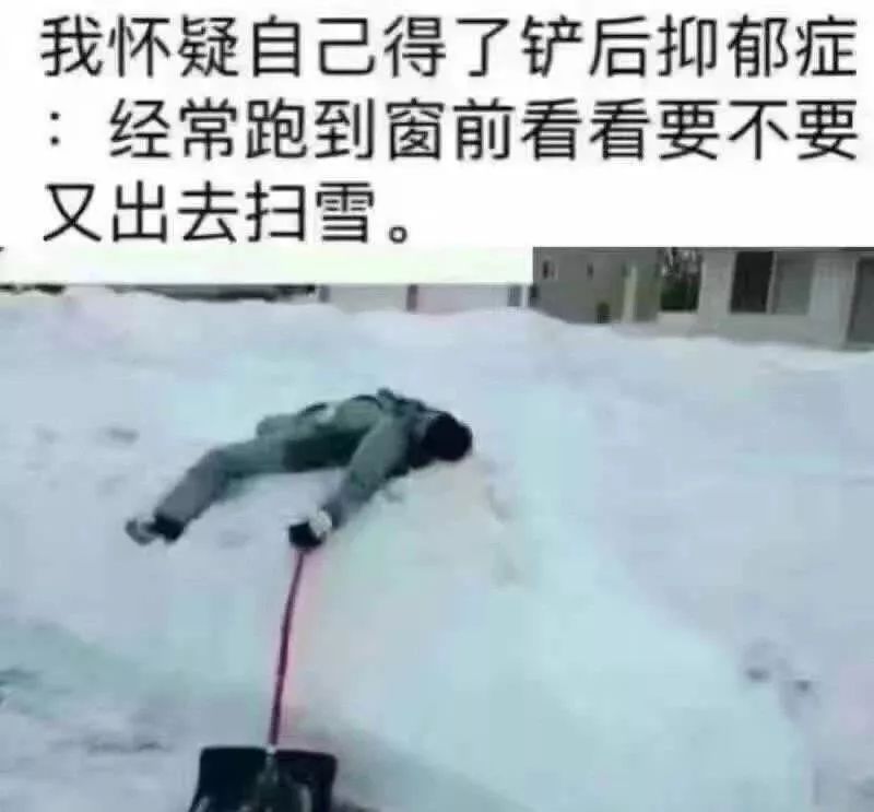 华人遭遇暴雪后的心理困境，铲雪之后抑郁情绪涌现