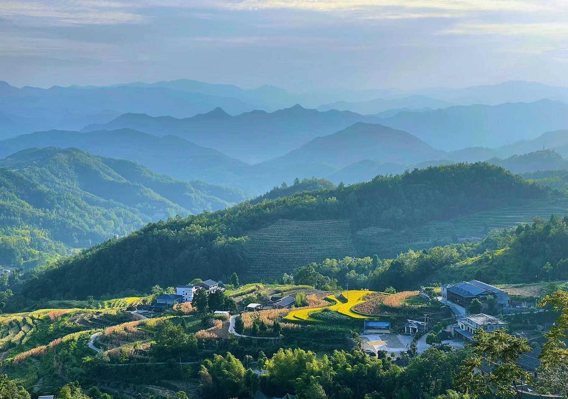 郁金香跨境仅18小时，速度与激情的物流革新之旅！深度揭秘其背后的秘密。