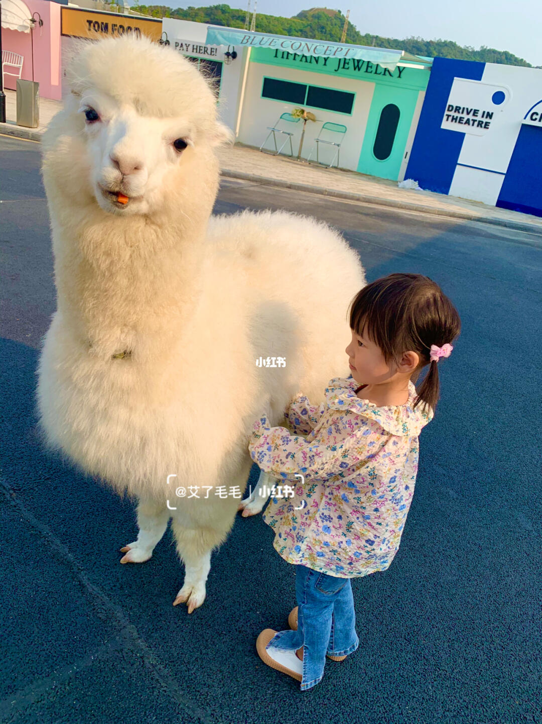 儿子女友是会说话的羊驼还有救吗？神秘现象引发关注热议！医院专家深度解读为您揭秘真相。