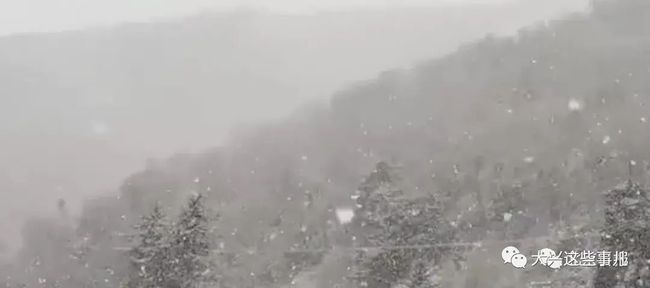 北京竟然下雪了