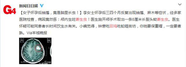 颅内惊现寄生虫存活长达八年！揭秘罕见病例背后的健康警示与法规深度解读。